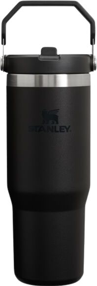 Stanley The IceFlow Flip Straw Tumbler